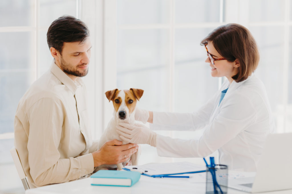 Doenças de cachorros