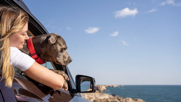mulher viajando com seu cachorro