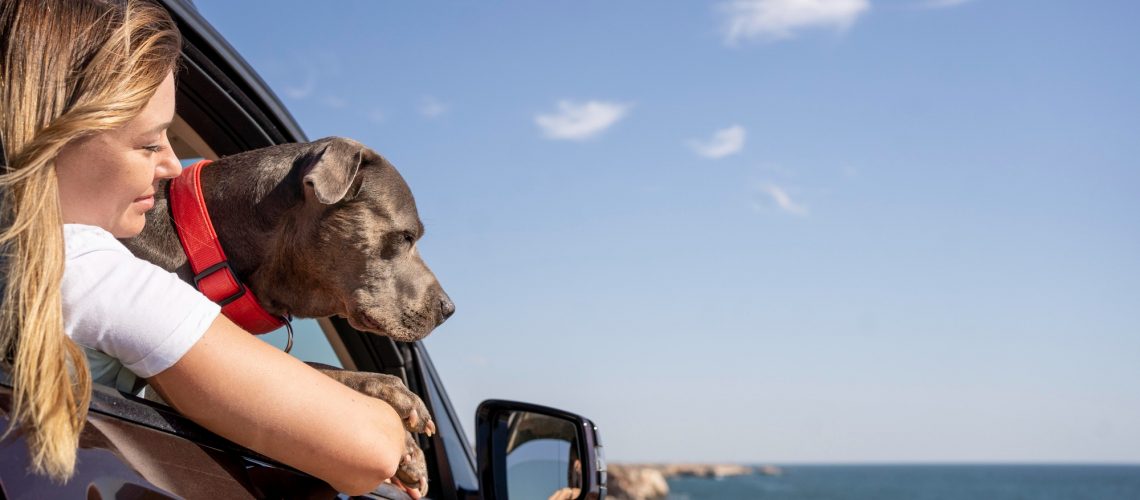 mulher viajando com seu cachorro